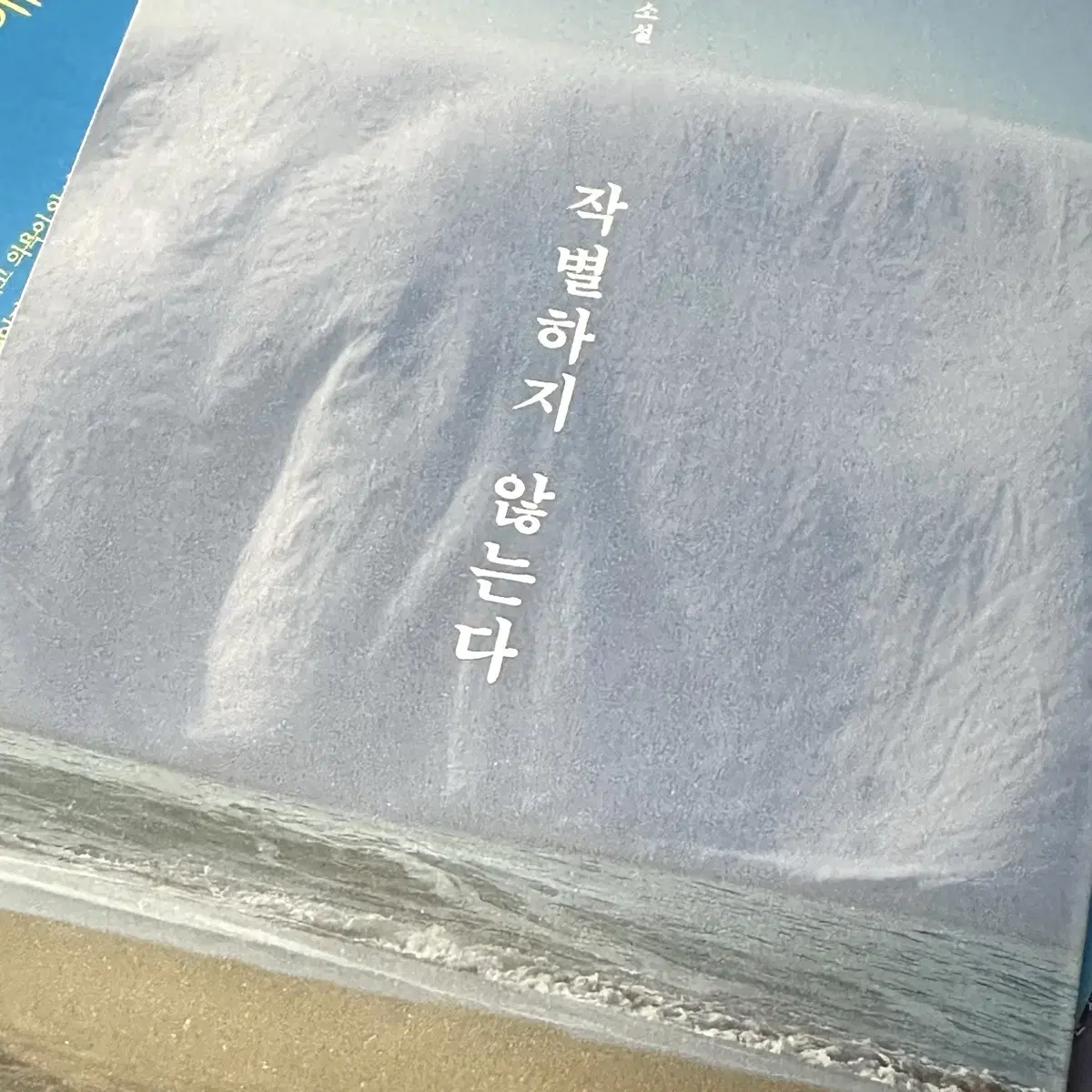 한강 작가 - 작별하지 않는다